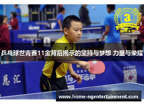 乒乓球世青赛11金背后揭示的坚持与梦想 力量与荣耀